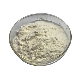 SOD Powder - Superoxide Dismutase CAS 9054-89-1 Factory Provide Bulk