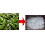 Synthetic Camphor Powder - Cosmetic Grade Bulk Synthetic Powder Wholesale Price