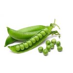 Pea Protein Isolate - Organic Natural Food Additive Pure Pea Protein Powder