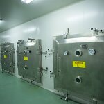 Bovine Lactoferrin Powder - 100g/bag Immune Defense Support Supplement Factory