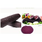Purple Corn Flour Extract - Anthocyanin Rich Food Additive Natural Bulk Powder