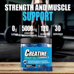Creatine Gummies Manufacturer - Blueberry Private Label Supplement Bulk Supply