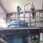 Lactobacillus Buchneri - 100 Billion CFU/g Freeze-dried Probiotics Powder