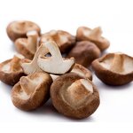 Mushroom Powder - Best-selling High Quality Mushroom Extract Bulk Supply
