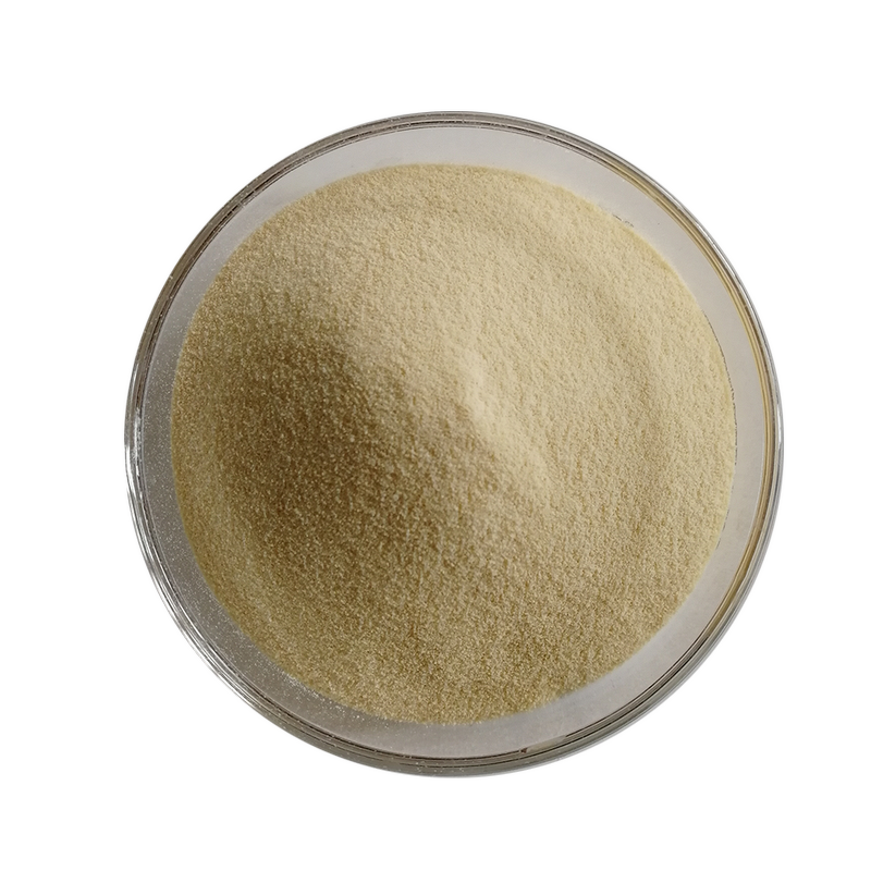 Pea Protein Powder - CAS 222400-29-5 Hydrolyzed Health Food Enhancers