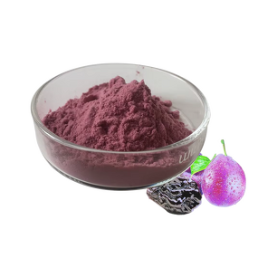 Plum Powder - 100% Natural Sour Plums Juice Powder Hot Sale Bulk Supply