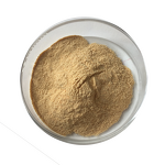 Mushroom Powder - Best-selling High Quality Mushroom Extract Bulk Supply