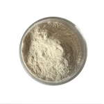 Lactobacillus Reuteri - 100 Billion CFU/g Anti-allergic Food Grade Probiotic