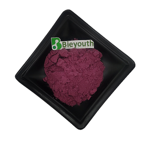 Dragon Fruit Powder - Organic Hylocereus Costaricensis Pink Pitaya Natural Bulk