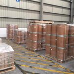 Dunaliella Salina Powder - Salt Alga Extract Beta-Carotene Natural Wholesale Price