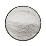 Lactobacillus Fermentum - High Quality Probiotic Powder Bulk Factory Supply