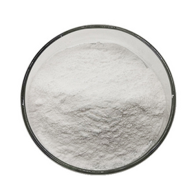 Lactobacillus Fermentum - High Quality Probiotic Powder Bulk Factory Supply