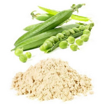 Pea Protein Extract - CAS 222400-29-5 Water Soluble Hydrolyzed Enhancers