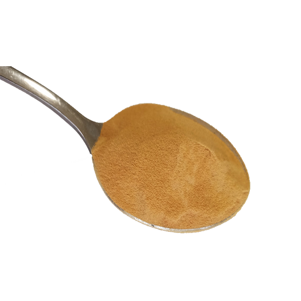 Sea Cucumber Powder - Freeze Dried Trepang Extract Factory Supply Natural Bulk