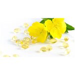 Evening Primrose Oil - High Quality Evening Primrose Extract Active Demand Bulk