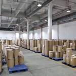 Lactobacillus Casei - Factory Supply Pure Food Supplement Probiotic Powder