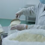 Dunaliella Salina Powder - Salt Alga Extract Beta-Carotene Natural Wholesale Price