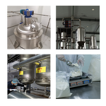 Lactobacillus Bulgaricus - Green Health Food High Quality Manufacturer Supply