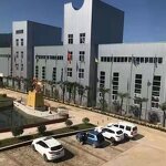 Dunaliella Salina Powder - Salt Alga Extract Beta-Carotene Natural Wholesale Price