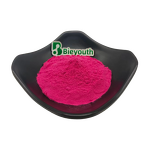 Red Beet Root Powder - Juice Powder Concentrate Dried Hot Sale Natural Bulk