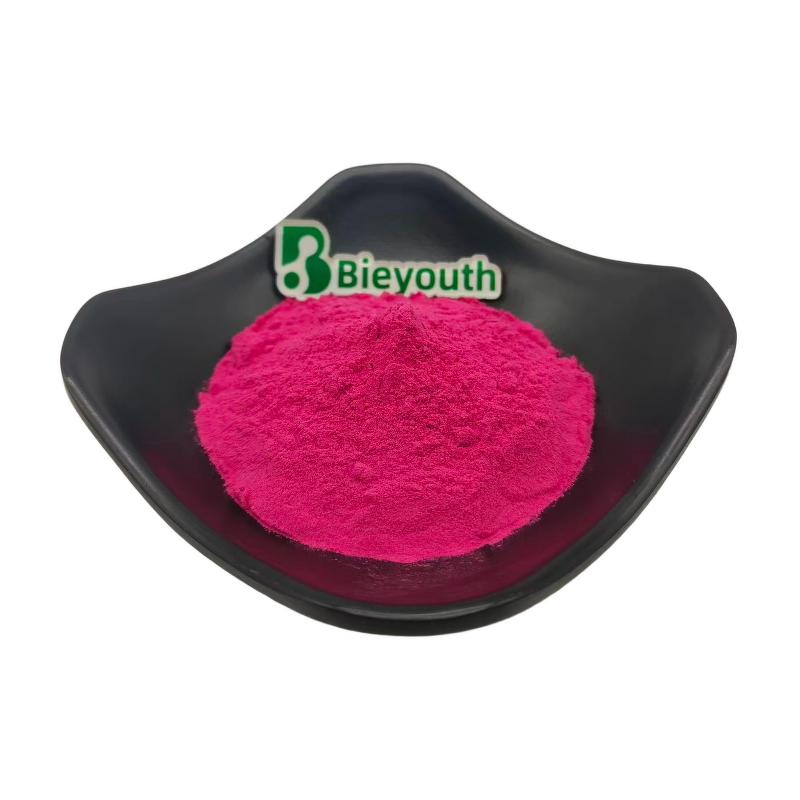 Red Beet Root Powder - Juice Powder Concentrate Dried Hot Sale Natural Bulk