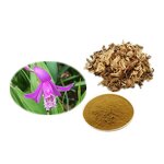 Bletilla Striata Extract - 30% 50% Polysaccharide Food Grade 1kg MOQ Bag Drum