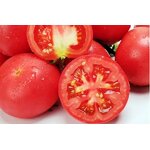 Freeze Dried Tomato Powder - Natural Fruit Powder Supplier Bulk Wholesale