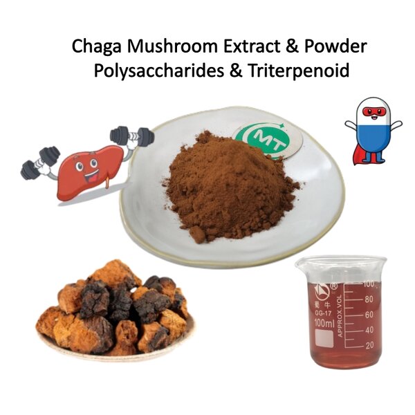 Organic Chaga Extract - ISO 100% Natural Mushroom Supplement Free Sample