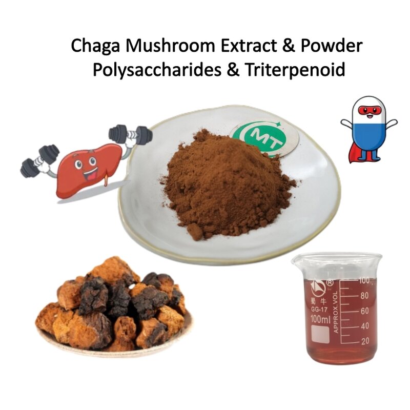 Organic Chaga Extract - ISO 100% Natural Mushroom Supplement Free Sample
