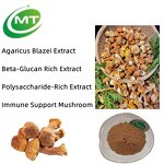 Agaricus Blazei Extract - Natural Mushroom Immune Support Plant Extract Free Sample