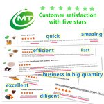 Japanese Matcha Powder - 100% Pure 1000-3000 Mesh Ceremonial Grade Wholesale