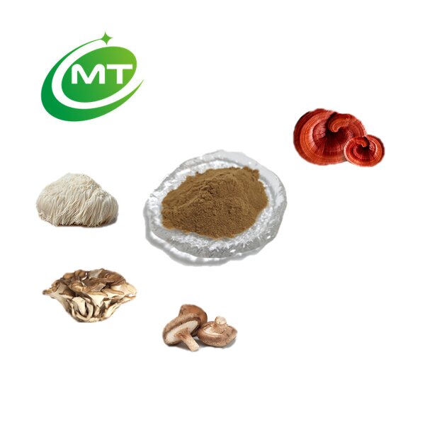 10 in 1 Mushroom Extract - Customized Blend ISO 100% Natural Free Sample