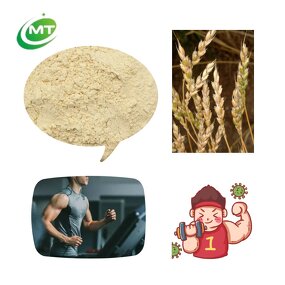 Wheat Protein Powder - 100% Pure Hydrolyzed Plant Based Food Grade Free Sample