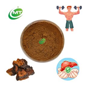Chaga Mushroom Powder - 100% Pure Inonotus Obliquus Extract Organic Supplement