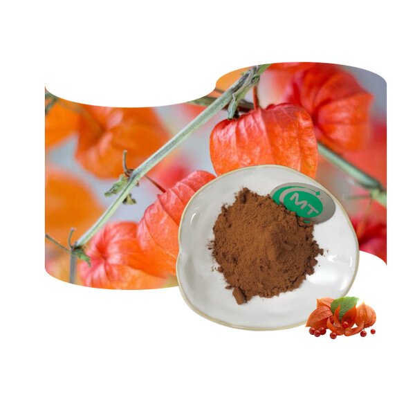 Physalis Alkekengi Extract - 100% Natural Bulk Price Best Sales Free Sample