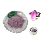 Purple Yam Extract - Dehydrated Natural Sweet Potato Bulk Good Flavor