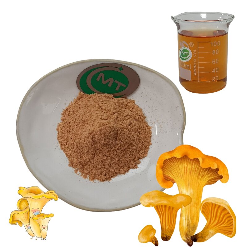 Chanterelle Mushroom Extract - Cantharellus Cibarius Anti-Aging Skincare