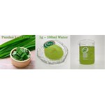 Pandan Extract Powder - Food Grade Baking Drink Flavoring OEM/ODM Available