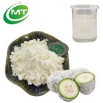 Winter Melon Juice Powder - Low-Calorie Vegetable Hydration Wellness Support