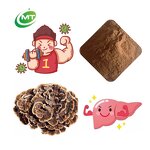 Turkey Tail Extract - Coriolus Versicolor Standardized Polysaccharides Yunzhi