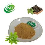 Gynostemma Pentaphyllum - High Purity Extract Powder OEM Service Available