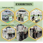 Faba Bean Protein Powder - 90% Isolate Broad Fava Bean Bulk Factory Supply