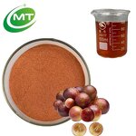 Camu Camu Fruit Powder - 25% Vitamin C 100% Pure Natural Supplement