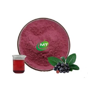 Choke Berry Extract - 15% Anthocyanins ISO Halal Kosher Premium Supplement