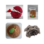 Turkey Tail Extract - Coriolus Versicolor Standardized Polysaccharides Yunzhi
