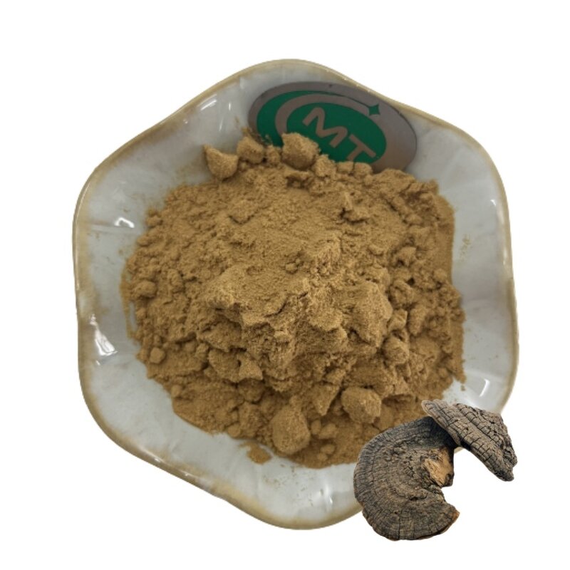 Trametes Robiniophila Extract - Huaier Mushroom 100% Natural Hot Selling