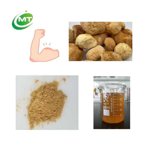 Lion's Mane Extract - Food Grade Hericium Erinaceus Immune Support Direct Supply