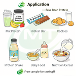 Faba Bean Protein Powder - 90% Isolate Broad Fava Bean Bulk Factory Supply