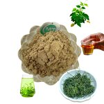Gynostemma Pentaphyllum - High Purity Extract Powder OEM Service Available