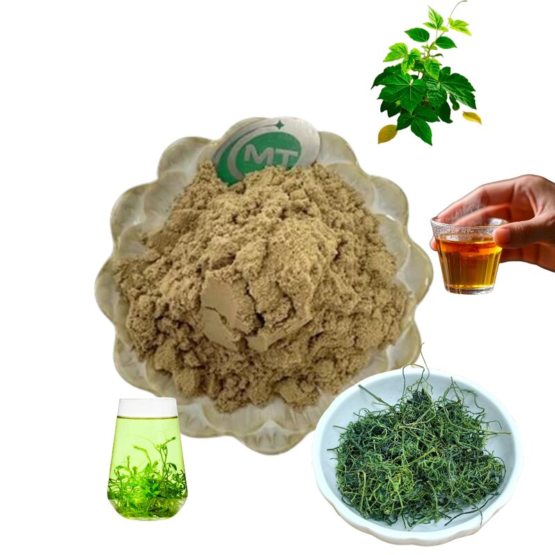 Gynostemma Pentaphyllum - High Purity Extract Powder OEM Service Available